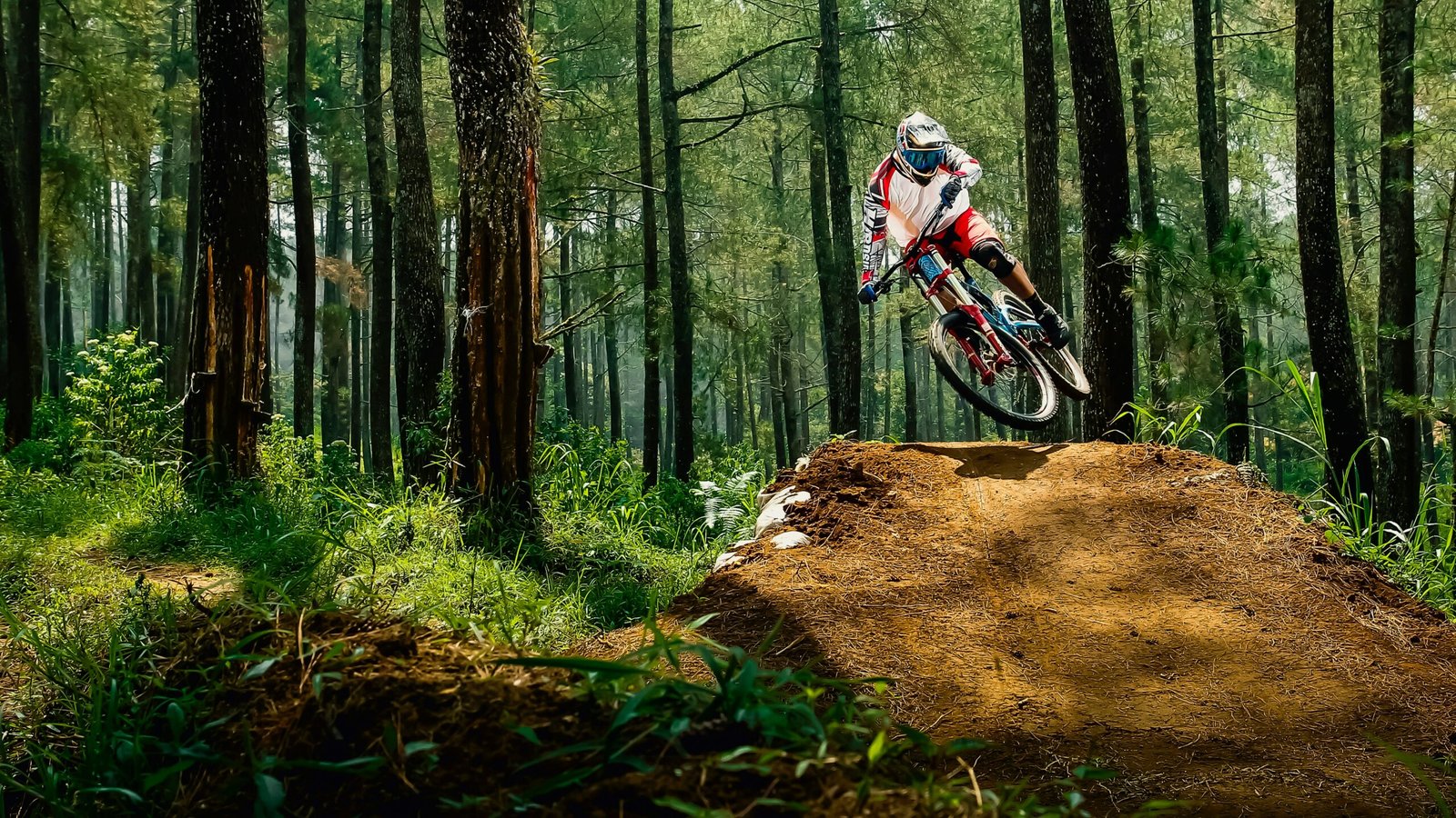 man riding bike doing stunt near green trees during daytime